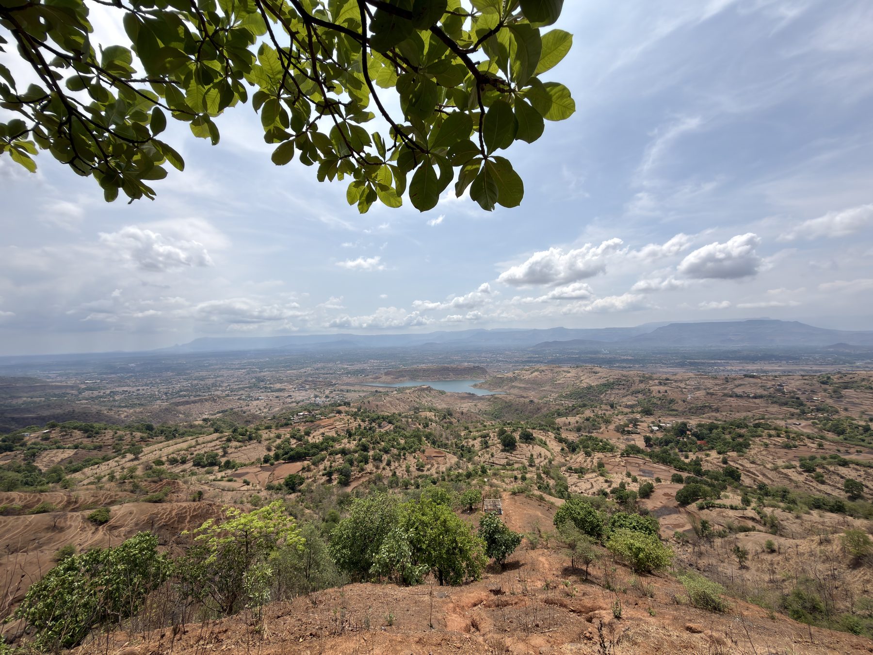 Panoramic view of the valley framed by tree branches